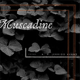 front cover of Muscadine