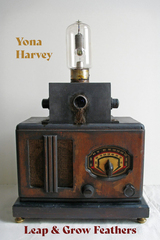 recently-published book cover