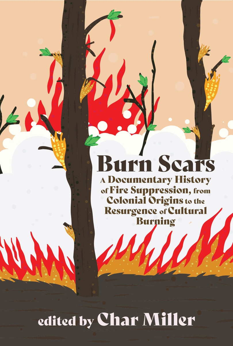 front cover of Burn Scars