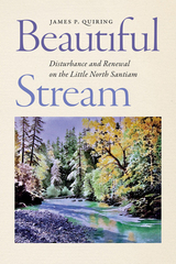 front cover of Beautiful Stream